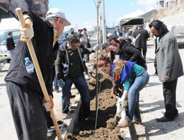 Şırnak'ın çehresini değiştirecek ağaçlandırma