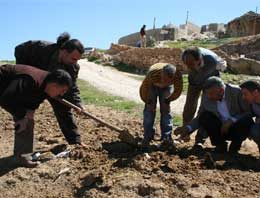 Şanlıurfa'nın sineklerle imtihanı!