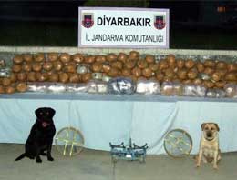 Diyarbakır'da 8.5 ton esrar ele geçirildi