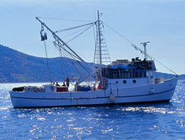 Marmara denizinde korkunç şüphe