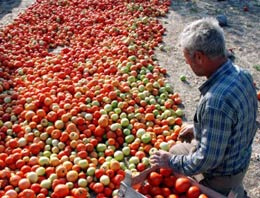 Organik tarıma enstitü desteği geliyor